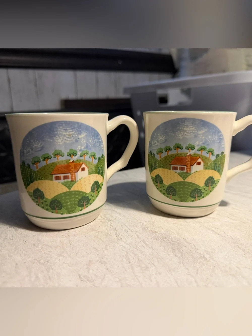 two Sangostone Country Cottage Coffee Mugs/tea cups Cottagecore vintage